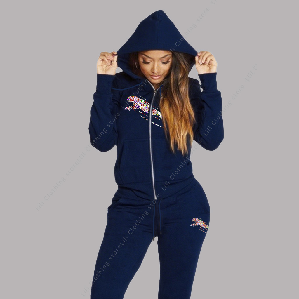 Winter Clothing Sale - Women's Track Suit Aesthetic Hoodies Sweatshirts