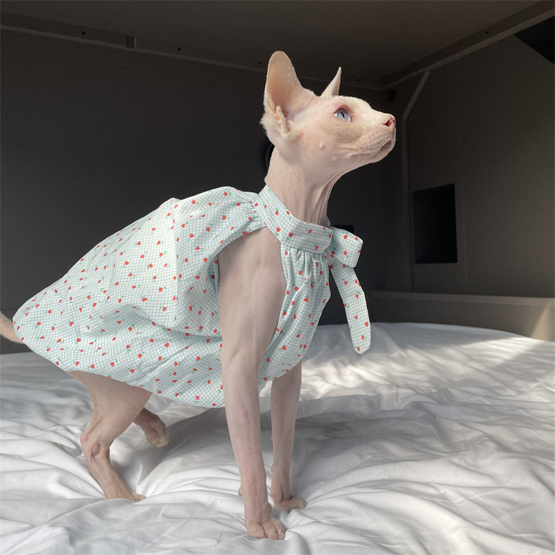 Cat Clothing in Summer Sweet L - Winter Clothing Layers recensione e prezzo