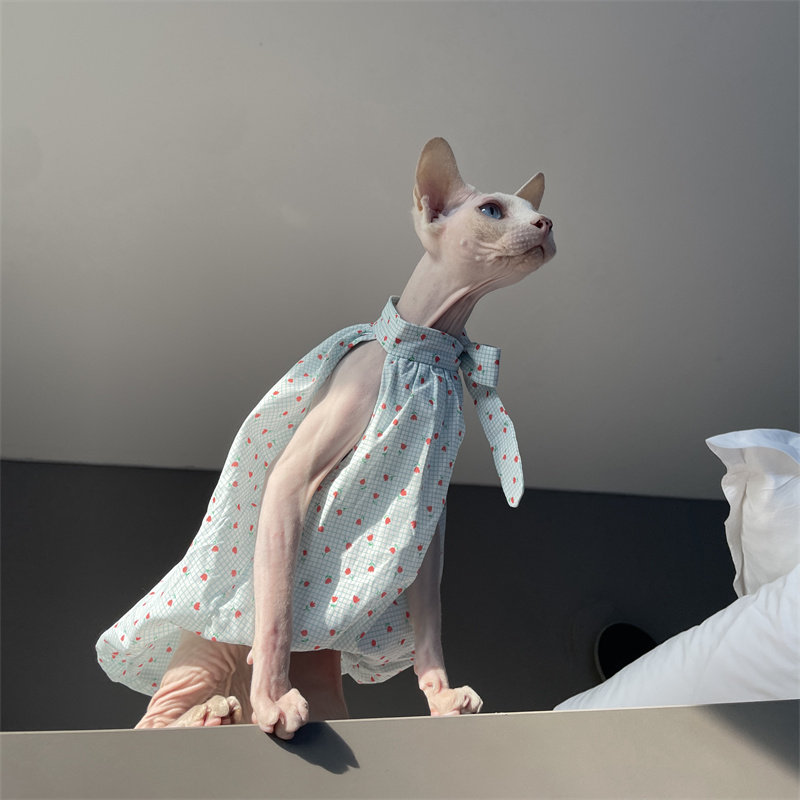 Cat Clothing in Summer Sweet L - Winter Clothing Layers recensione e prezzo