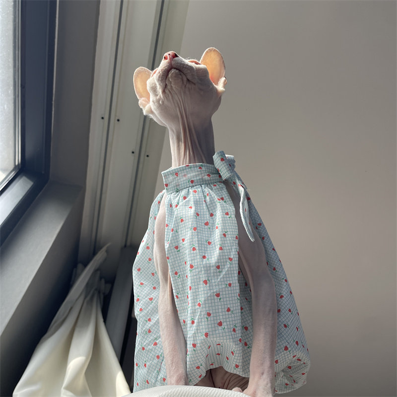 Cat Clothing in Summer Sweet L - Winter Clothing Layers recensione e prezzo