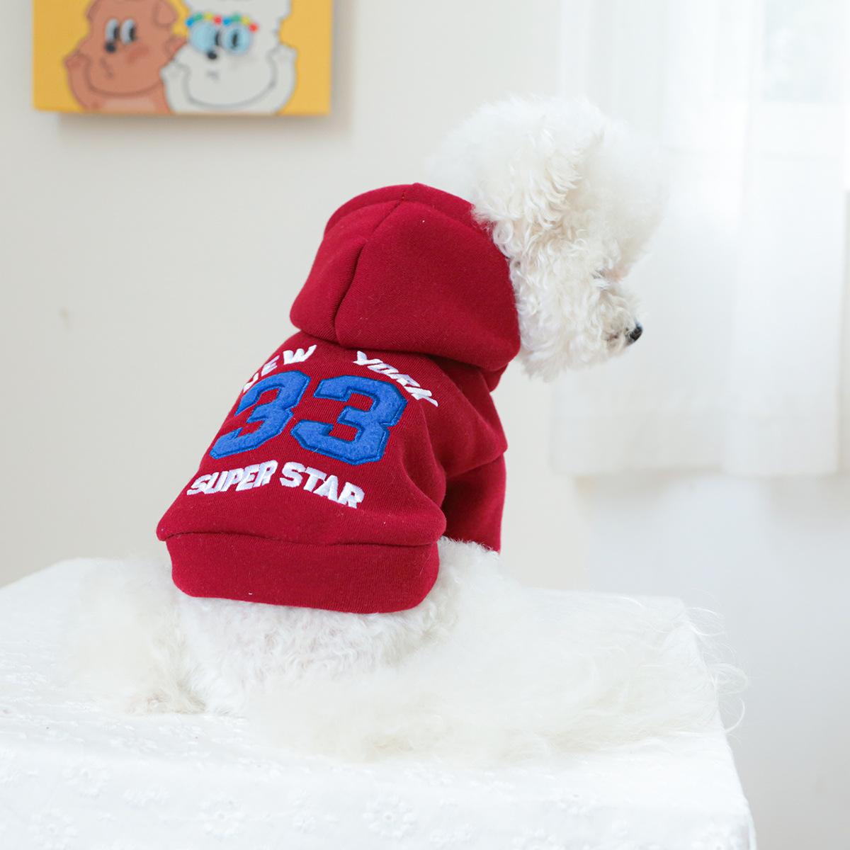pet clothing pet puppy cat clo - Winter Clothing Wholesale recensione e prezzo