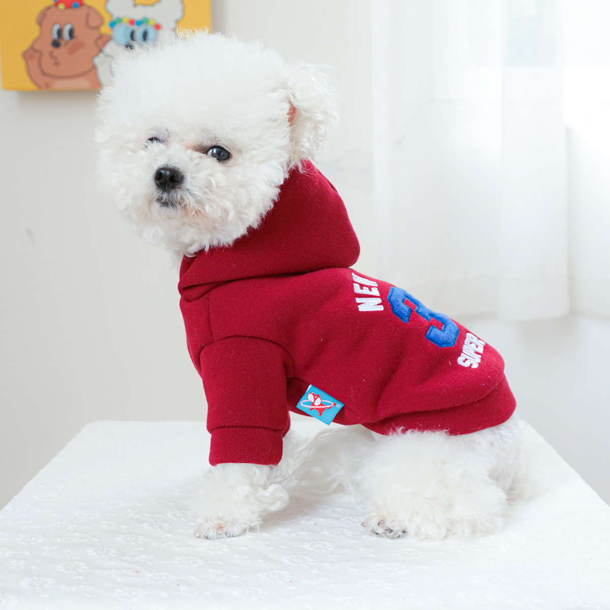 pet clothing pet puppy cat clo - Winter Clothing Wholesale recensione e prezzo