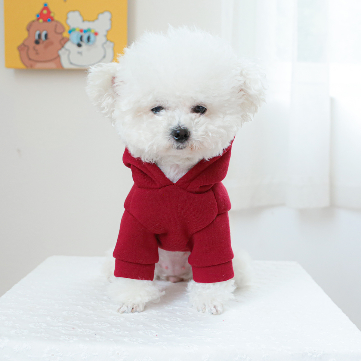 pet clothing pet puppy cat clo - Winter Clothing Wholesale recensione e prezzo