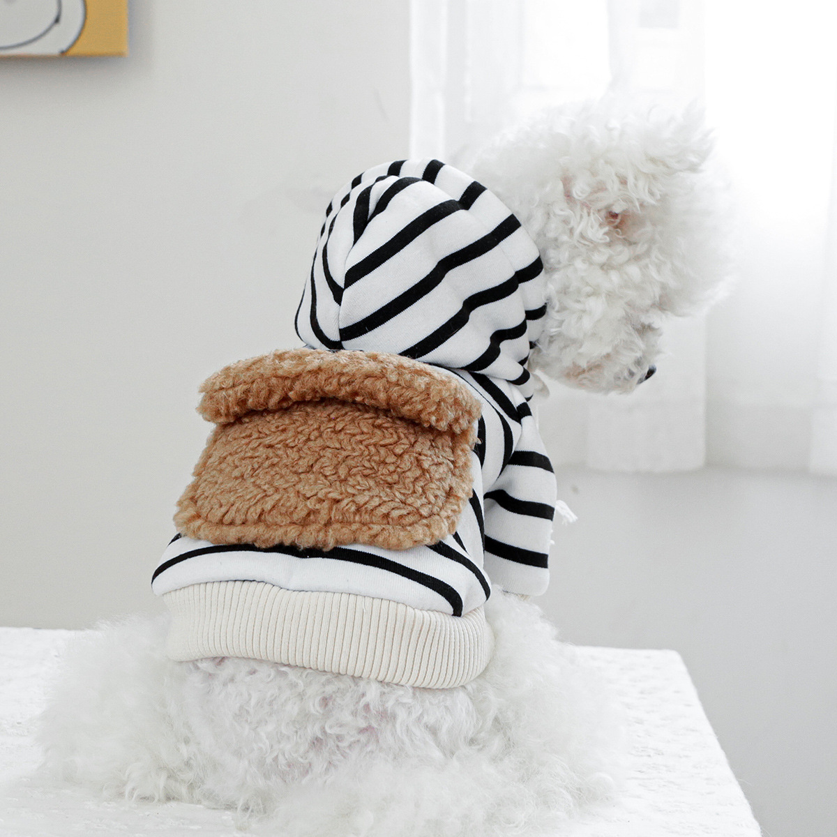 pet clothing pet puppy cat clo - Winter Clothing Wholesale recensione e prezzo