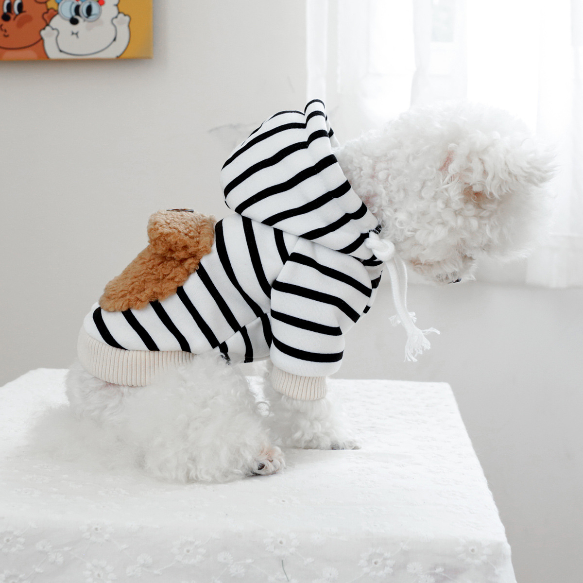 pet clothing pet puppy cat clo - Winter Clothing Wholesale recensione e prezzo