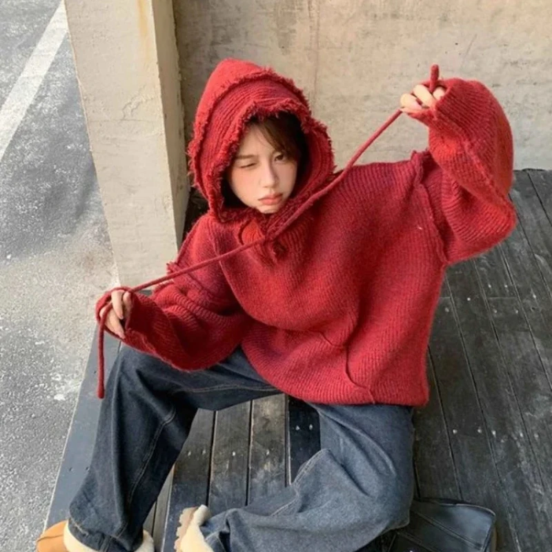 Autumn and Winter Thick Hoodie - Winter Clothing Essential recensione e prezzo