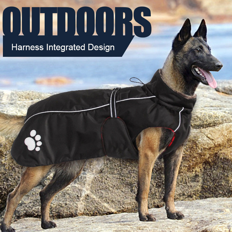 High Quality 5XL Large Dog Clo - Winter Clothing Wholesale recensione e prezzo